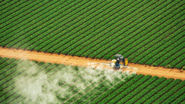Best Ant Control Services  in Worthington, OH