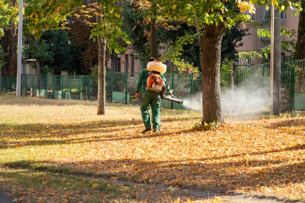 Best Termite Control Services  in Worthington, OH