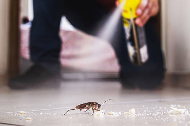 Best Residential Pest Control  in Worthington, OH