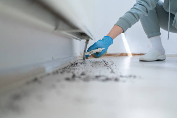 Best Commercial Pest Control Services  in Worthington, OH